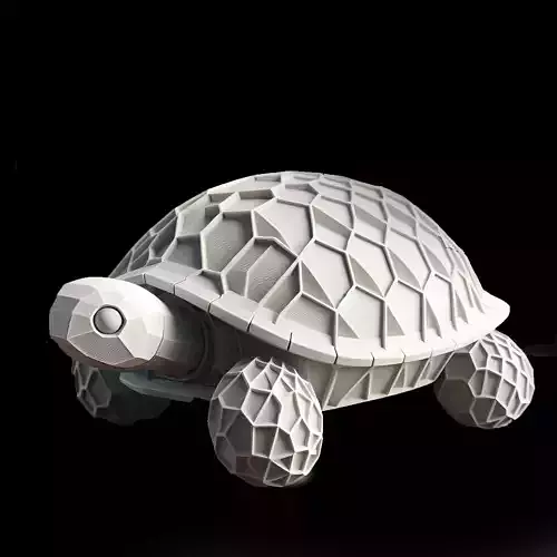 symmetrical turtle  model