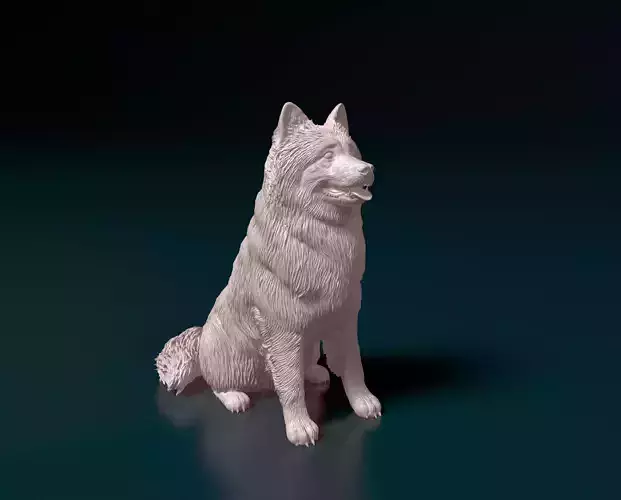 Eurasier 3D print model
