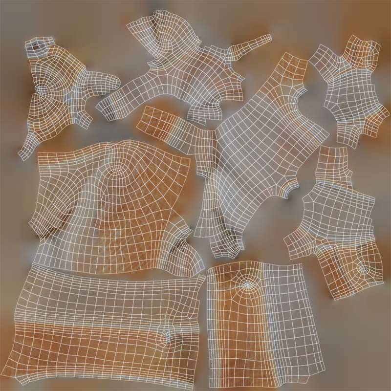 Cut Seashell Mollusk Low-poly 3D model_14