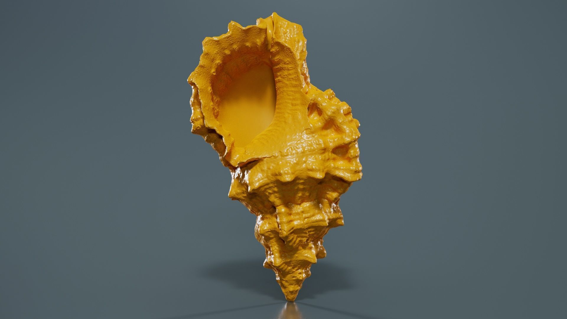 Muricidae Mollusk Sea Shell Low-poly 3D model_12