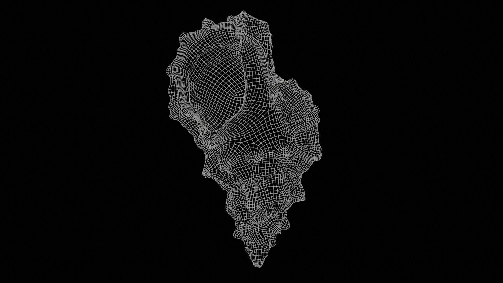 Muricidae Mollusk Sea Shell Low-poly 3D model_11