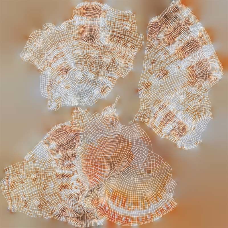 Muricidae Mollusk Sea Shell Low-poly 3D model_14