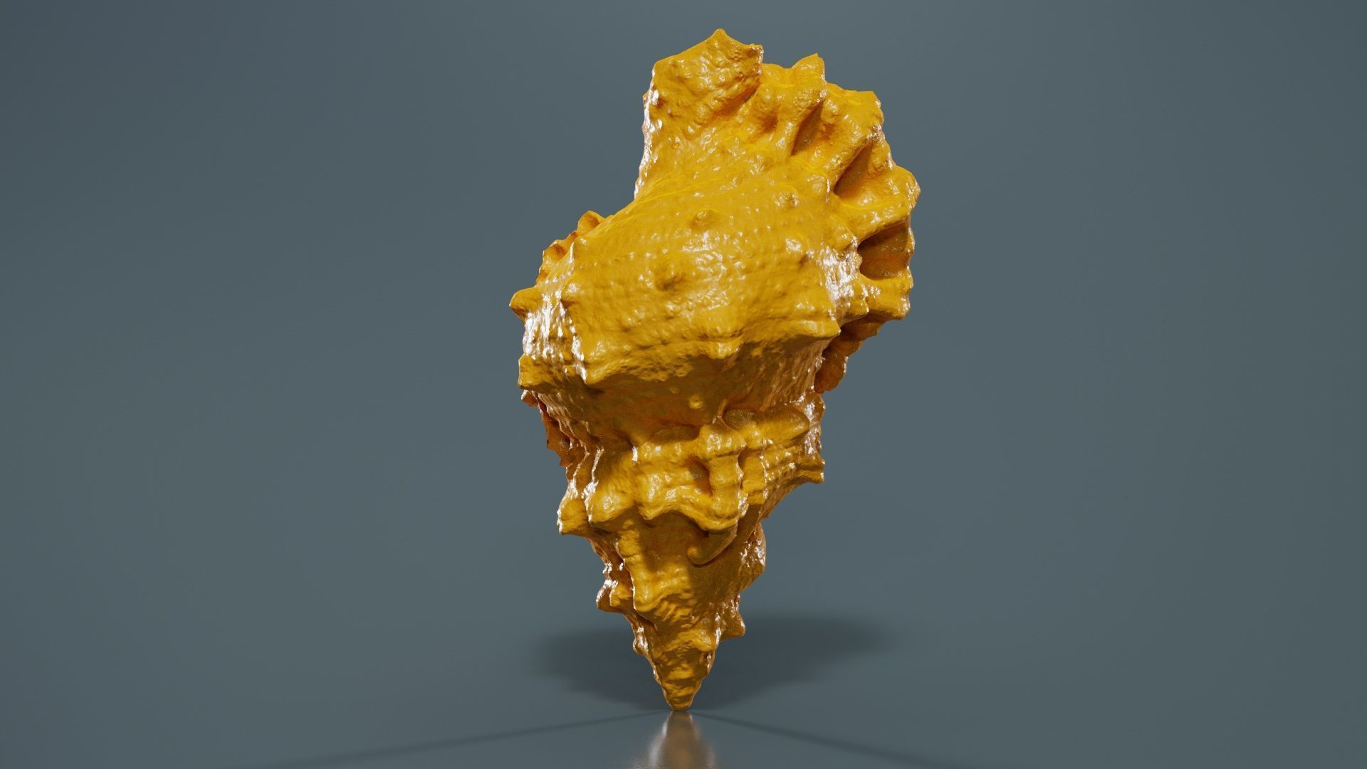 Muricidae Mollusk Sea Shell Low-poly 3D model_13