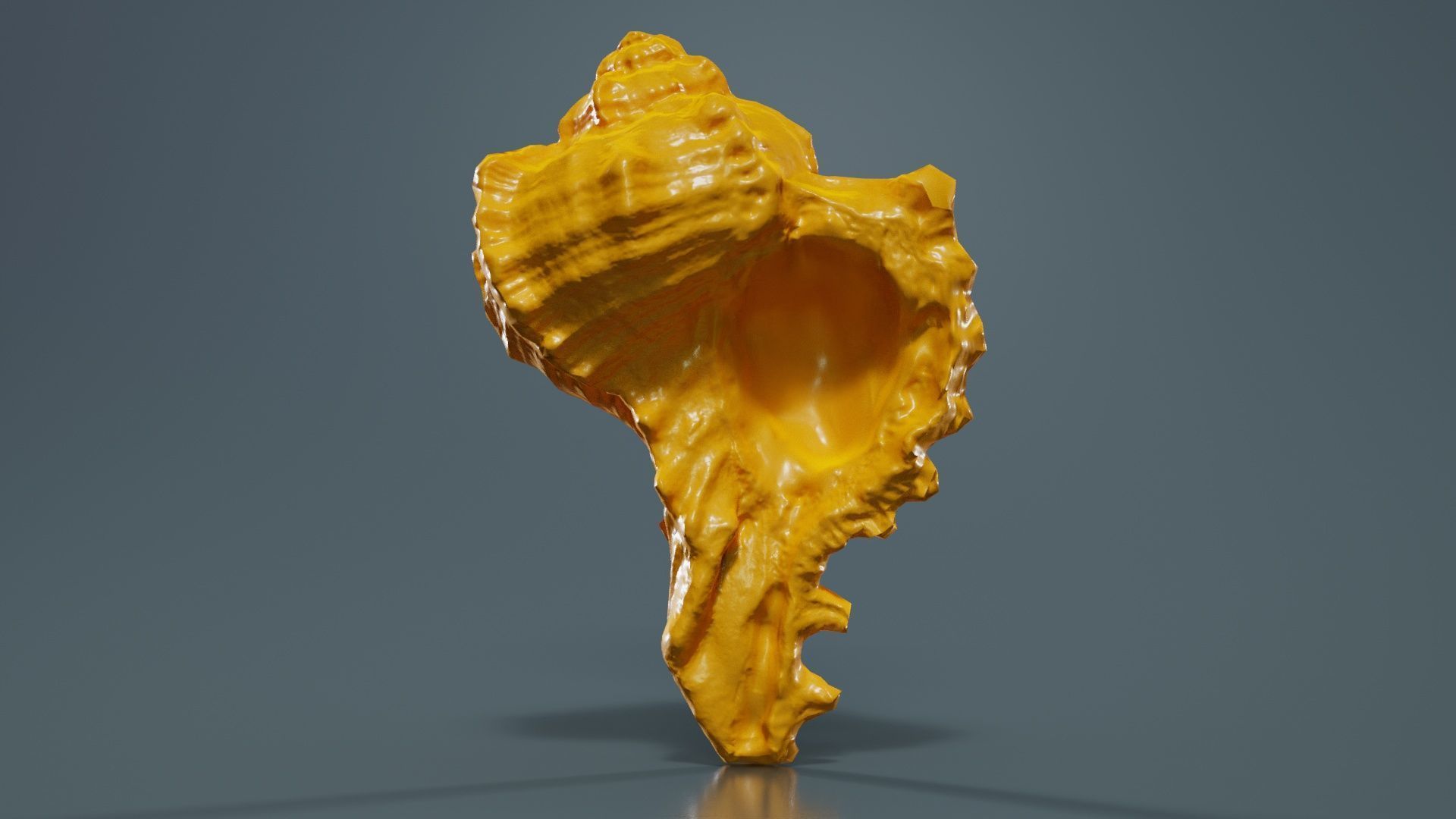Shell Low-poly 3D model_12