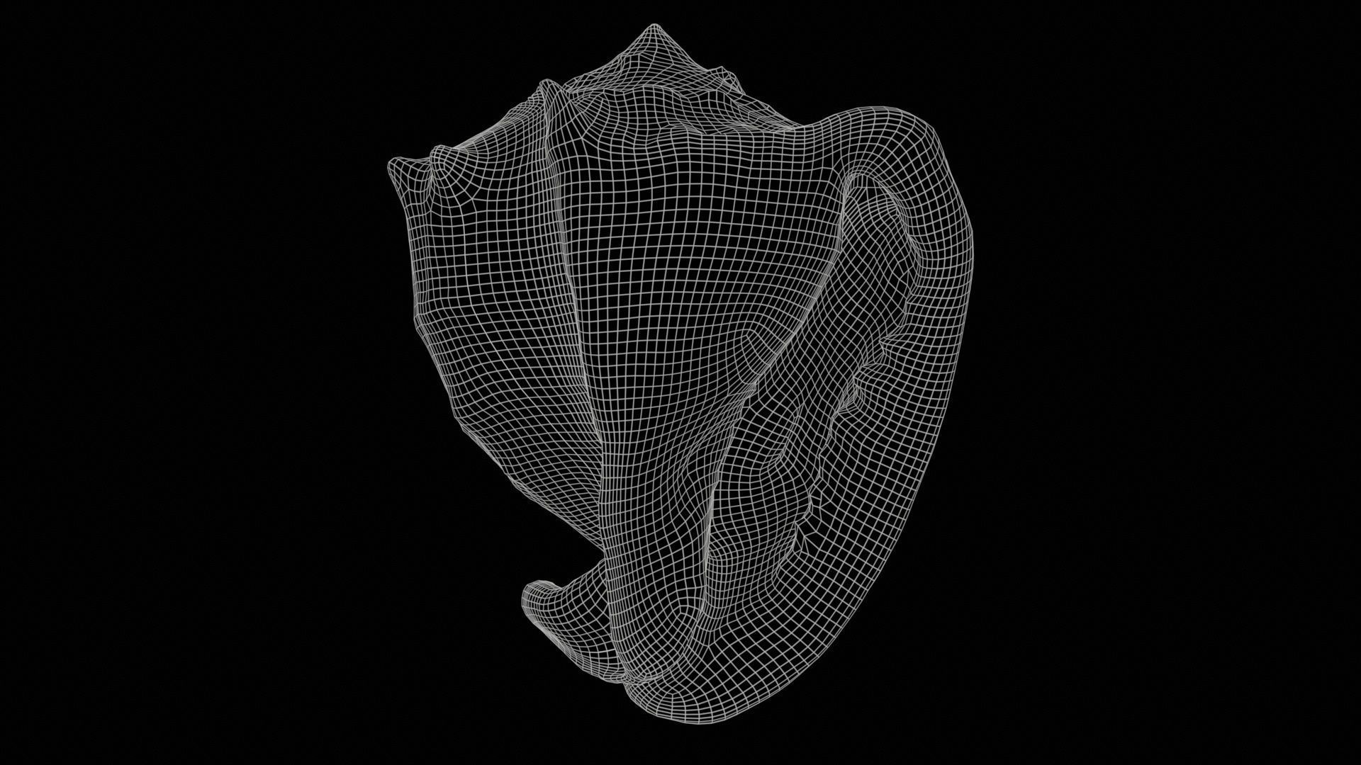 Shell Brown Low-poly 3D model_11