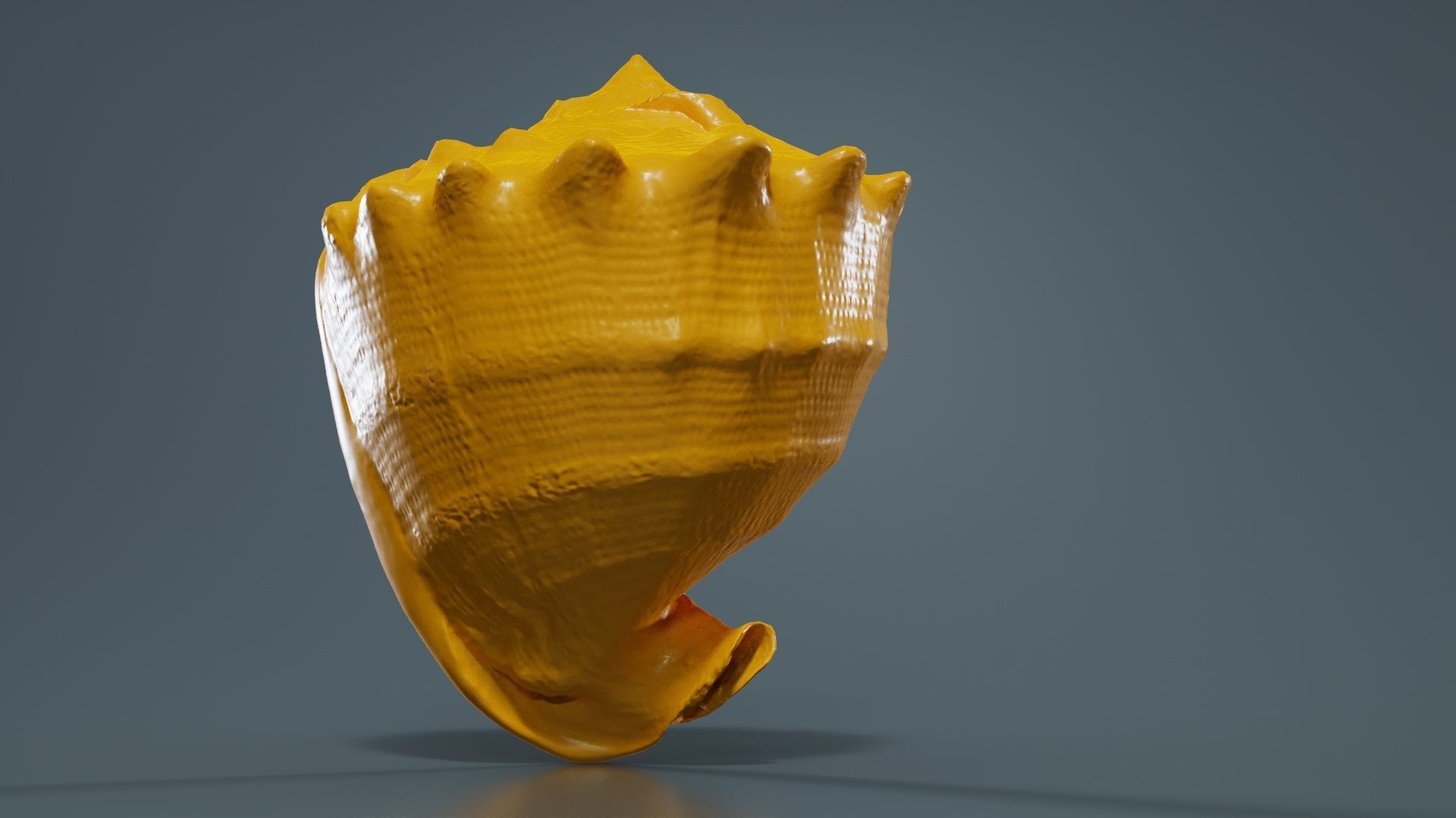 Shell Brown Low-poly 3D model_13
