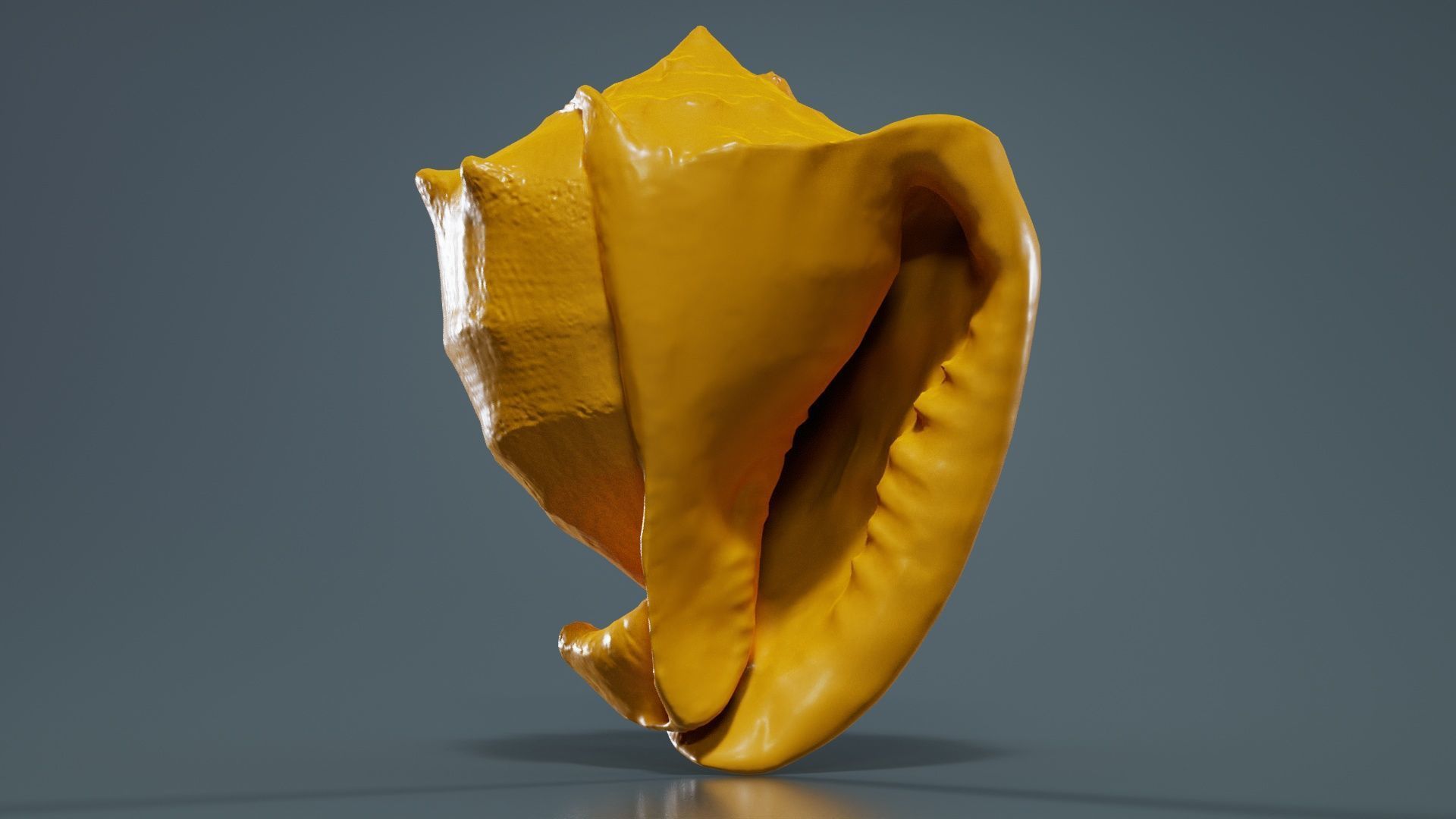 Shell Brown Low-poly 3D model_12