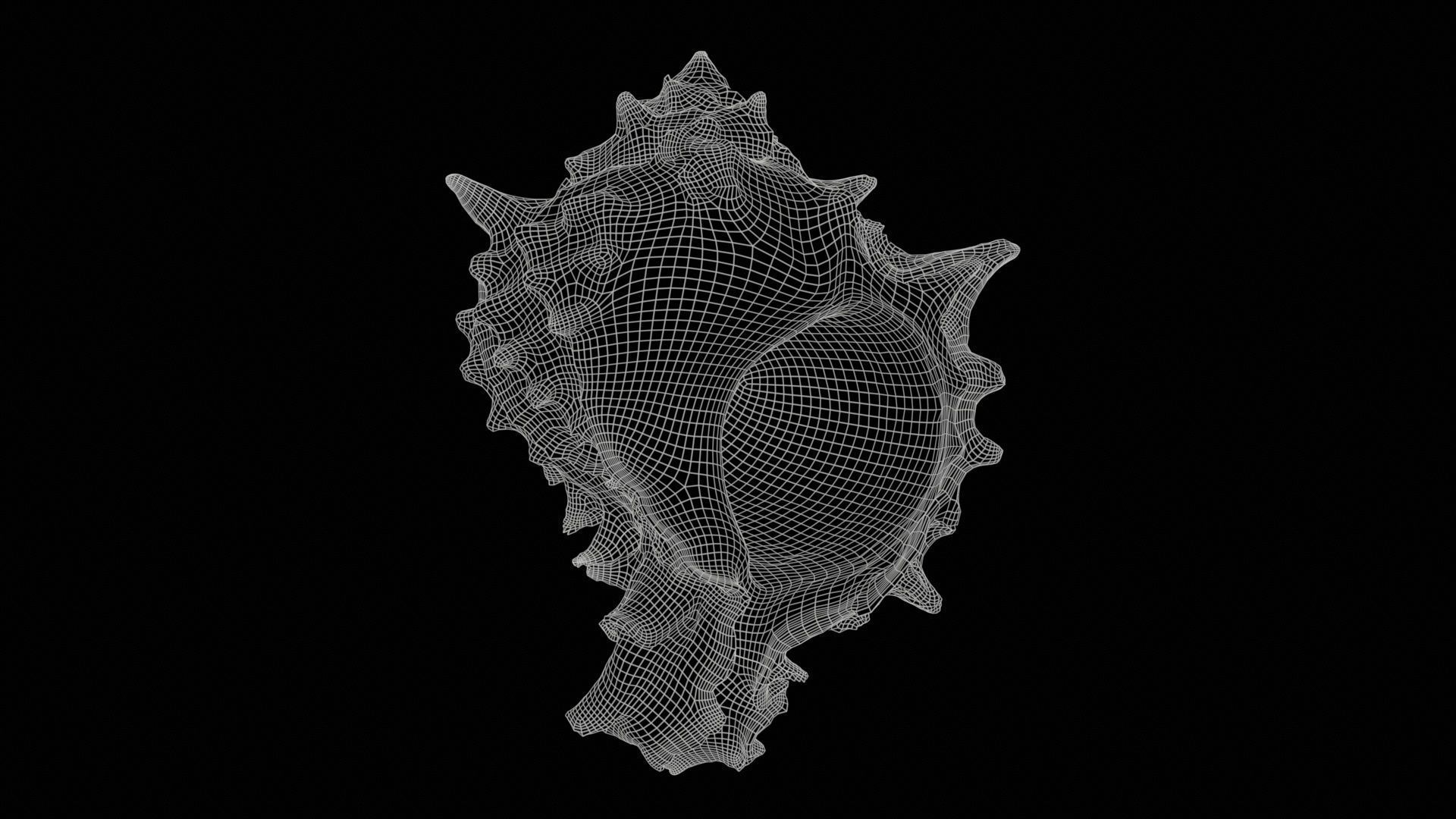 Shell Pink Low-poly 3D model_11
