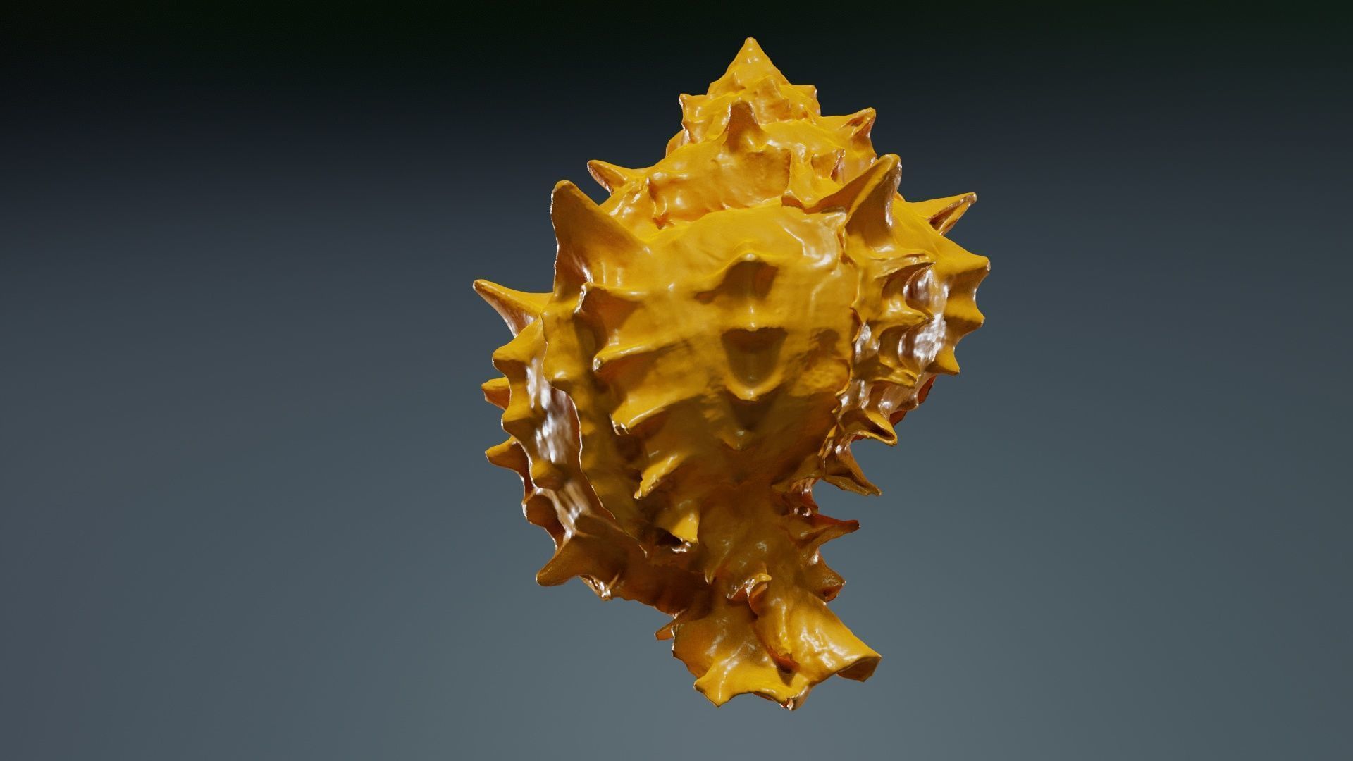 Shell Pink Low-poly 3D model_13