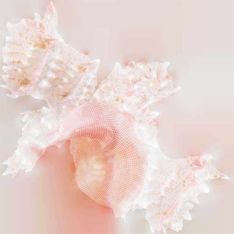 Shell Pink Low-poly 3D model_14
