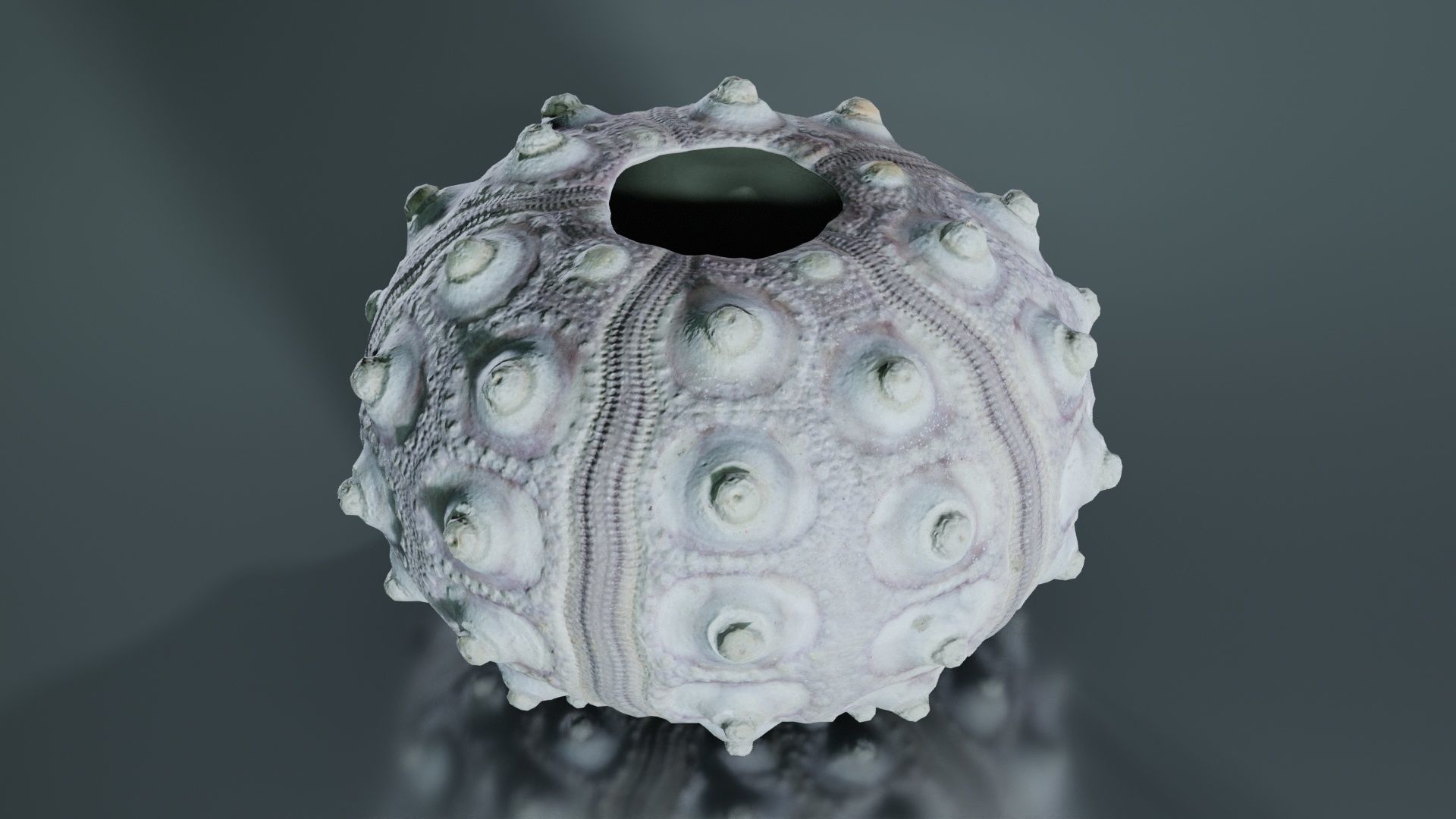 Sputnik Sea Urchin Low-poly 3D model_1