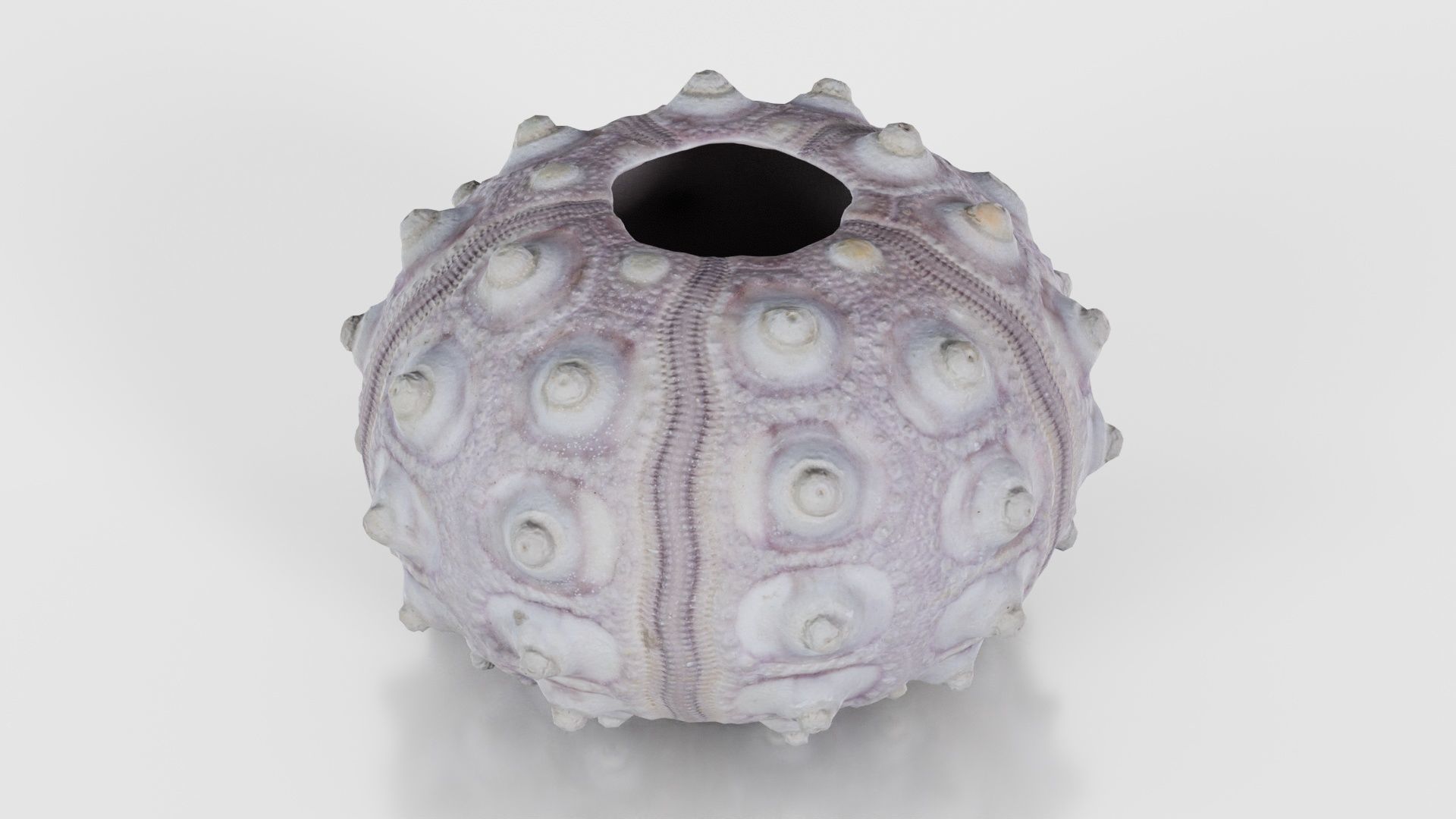 Sputnik Sea Urchin Low-poly 3D model_25