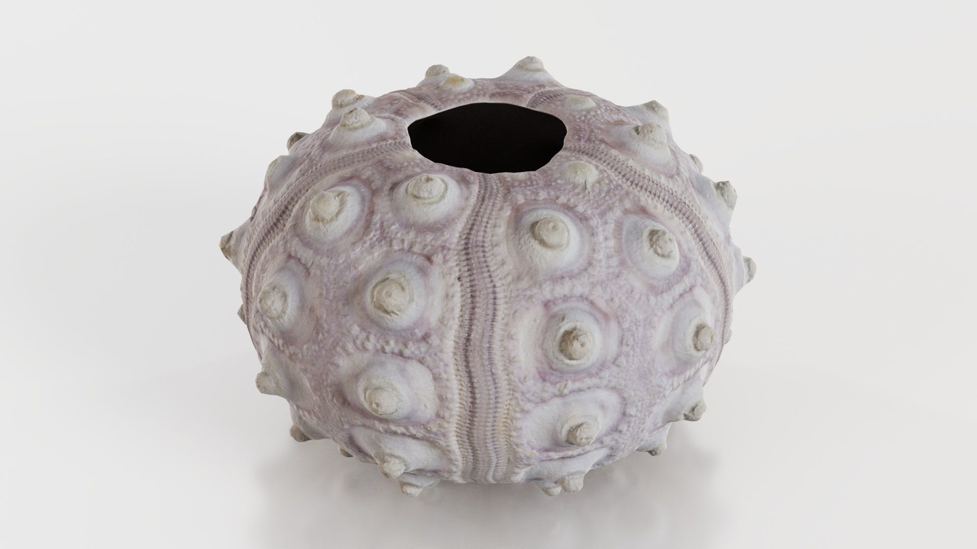 Sputnik Sea Urchin Low-poly 3D model_8