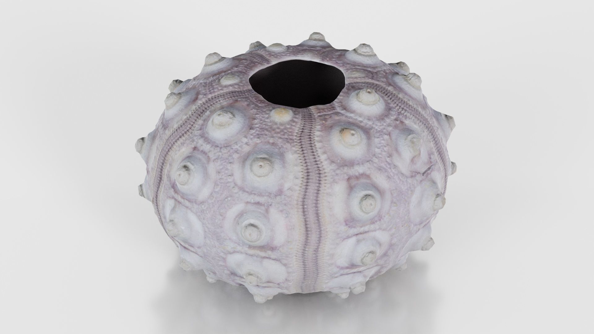 Sputnik Sea Urchin Low-poly 3D model_23