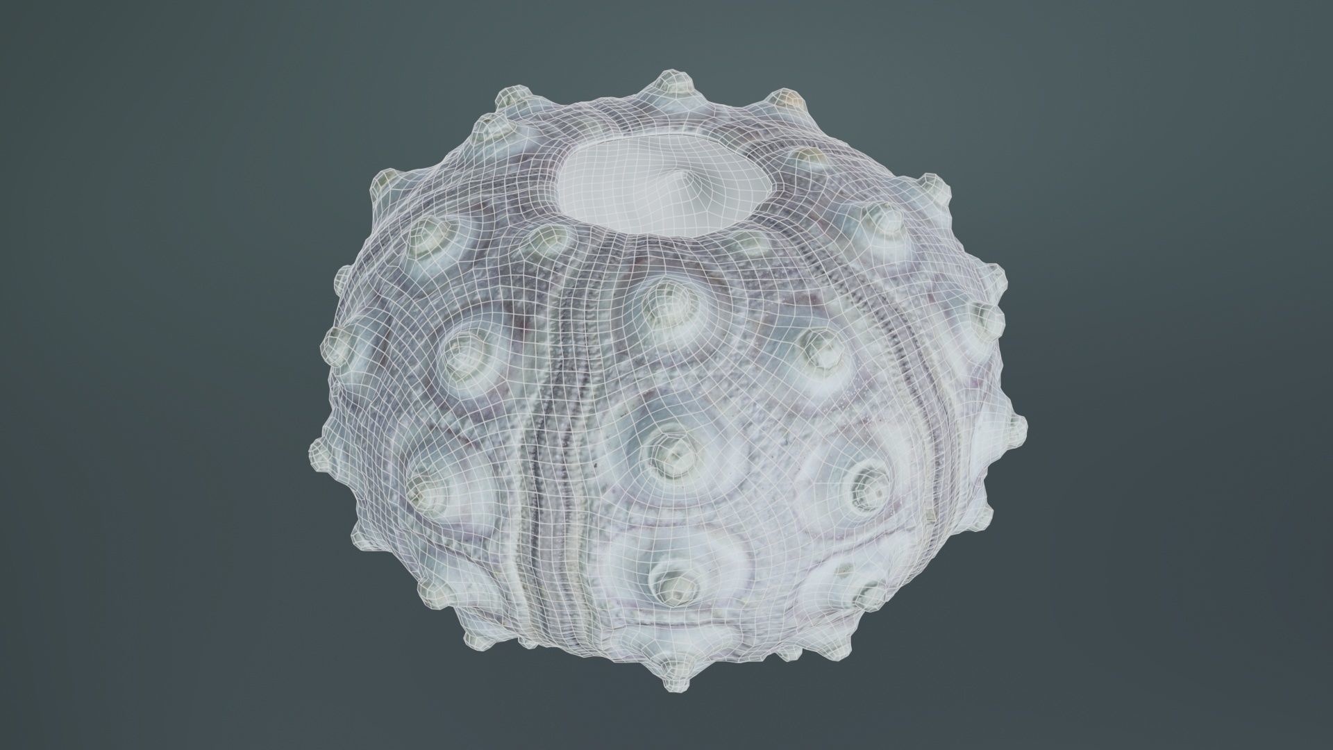 Sputnik Sea Urchin Low-poly 3D model_9