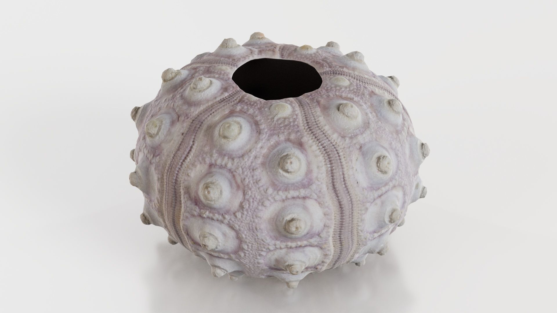 Sputnik Sea Urchin Low-poly 3D model_3