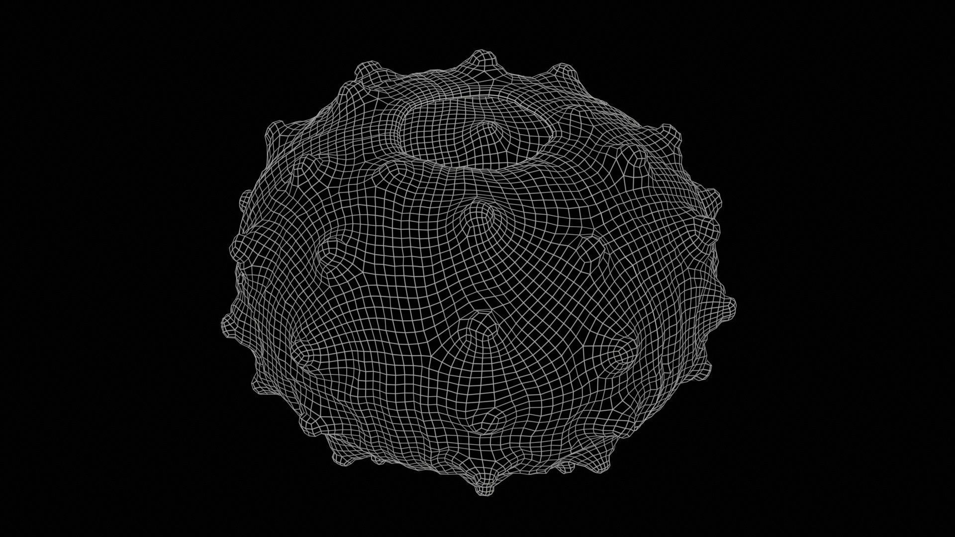Sputnik Sea Urchin Low-poly 3D model_11