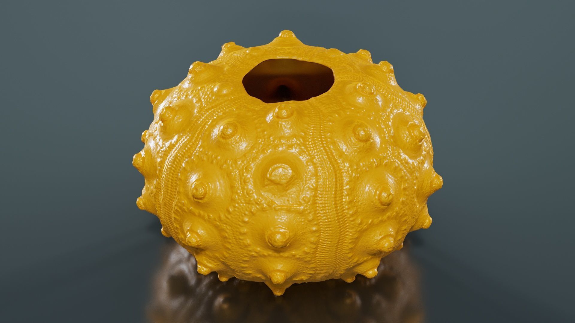 Sputnik Sea Urchin Low-poly 3D model_13