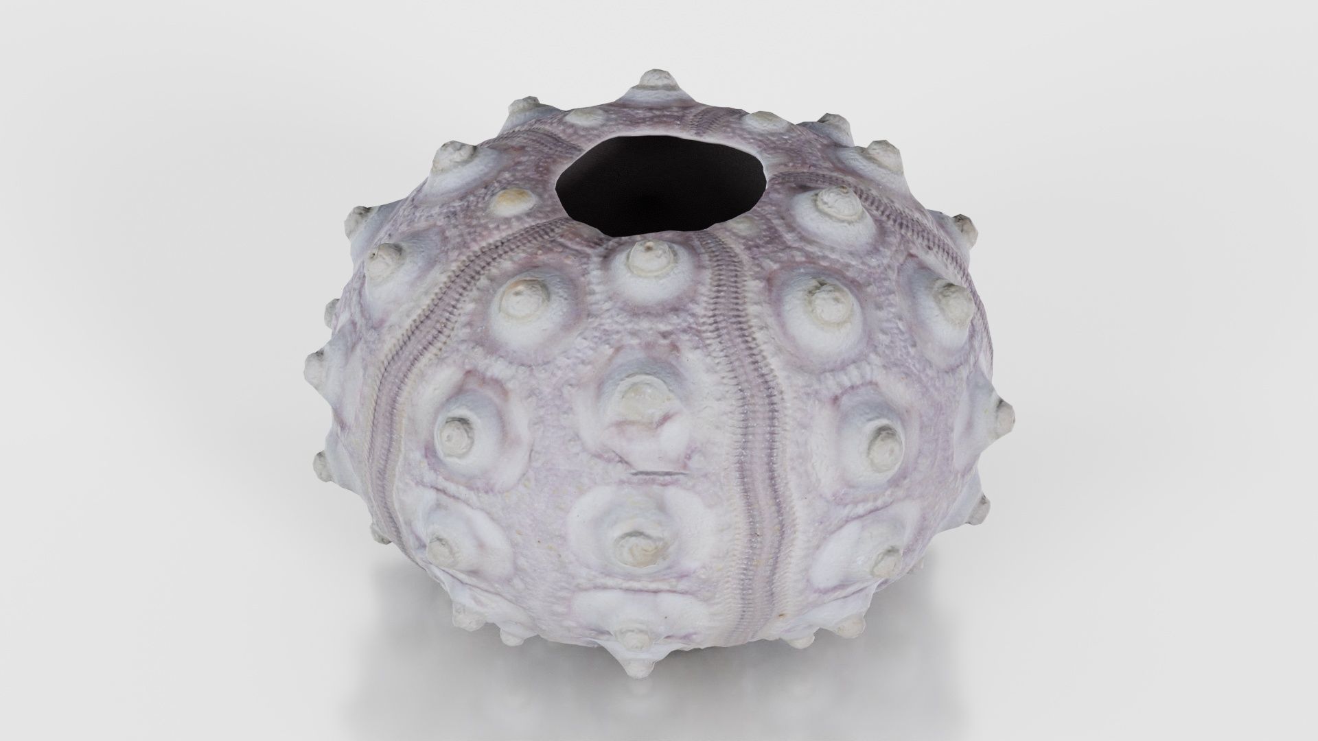 Sputnik Sea Urchin Low-poly 3D model_21