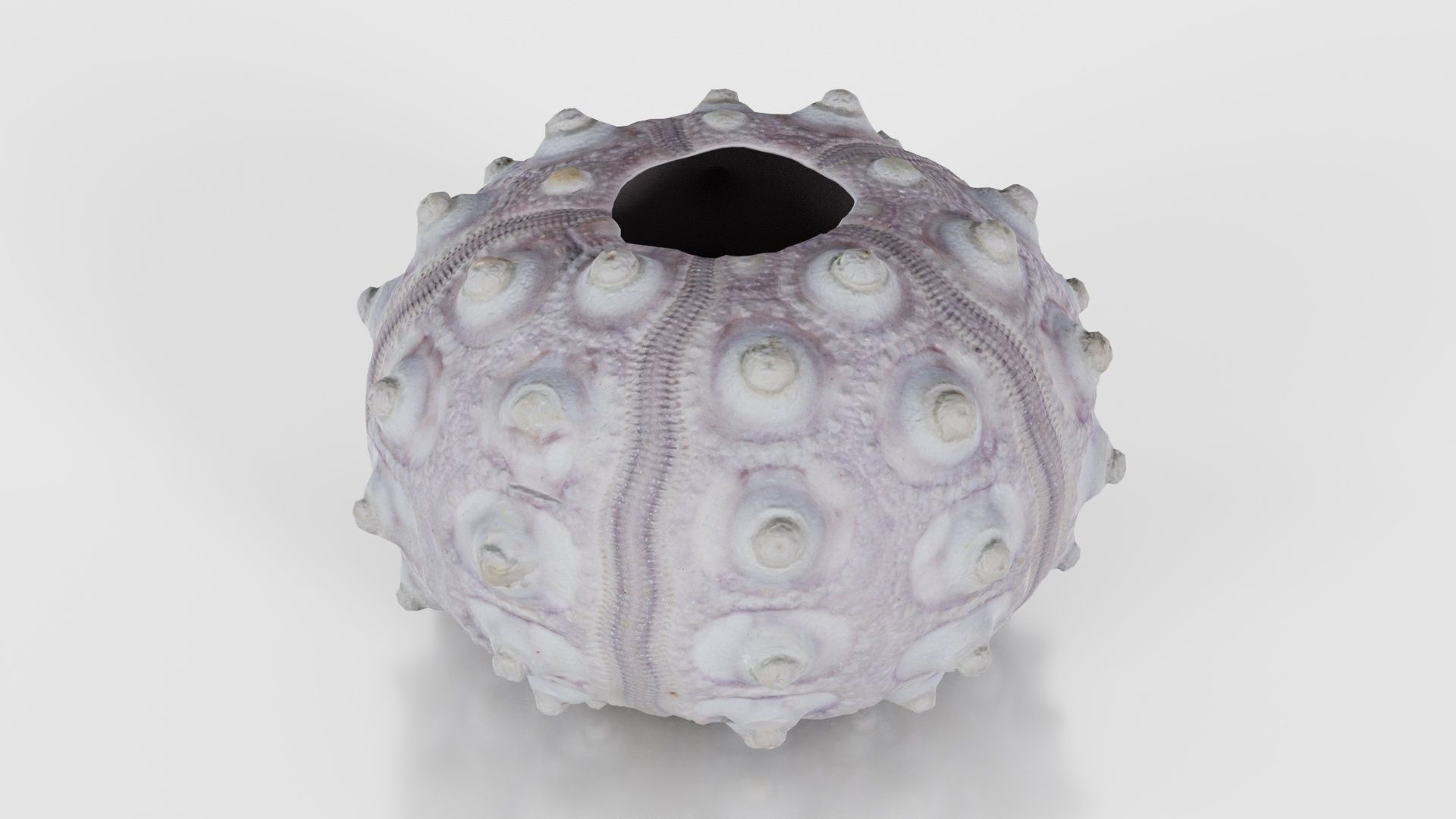 Sputnik Sea Urchin Low-poly 3D model_20