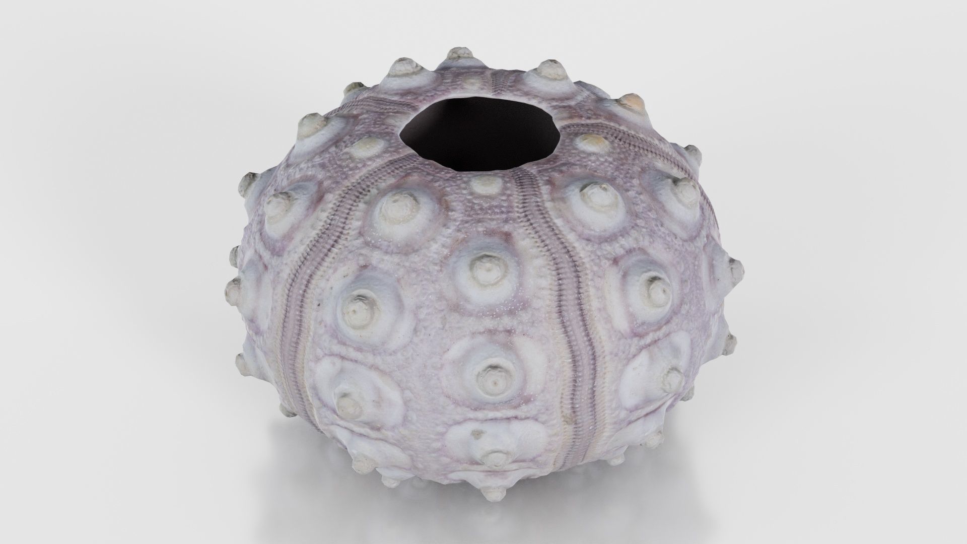 Sputnik Sea Urchin Low-poly 3D model_26