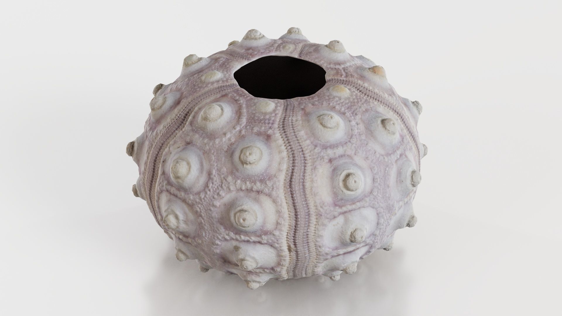 Sputnik Sea Urchin Low-poly 3D model_5
