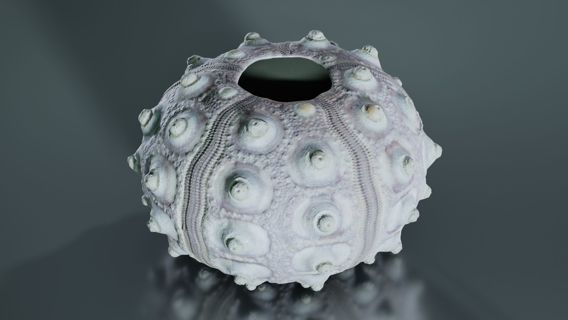 Sputnik Sea Urchin Low-poly 3D model_7