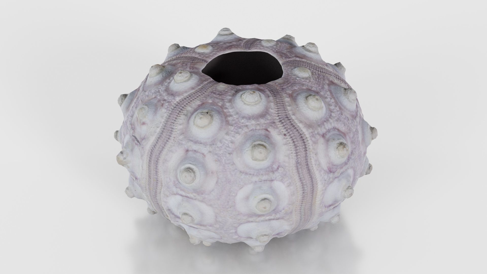 Sputnik Sea Urchin Low-poly 3D model_19
