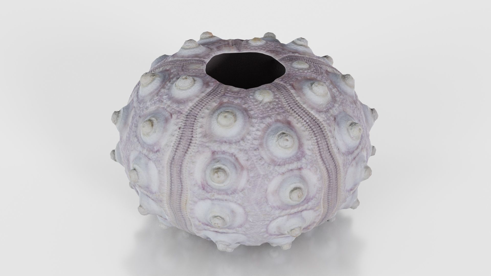 Sputnik Sea Urchin Low-poly 3D model_17