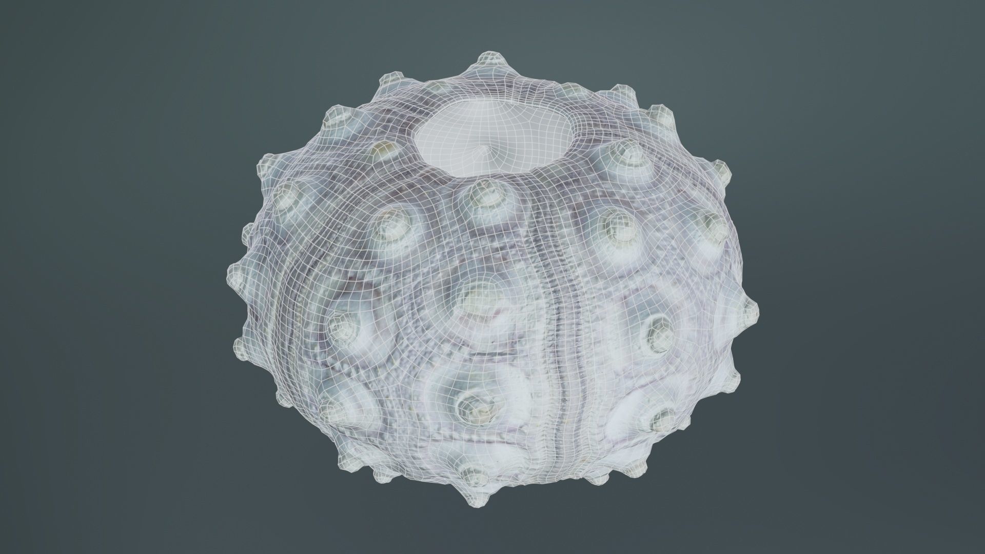 Sputnik Sea Urchin Low-poly 3D model_10
