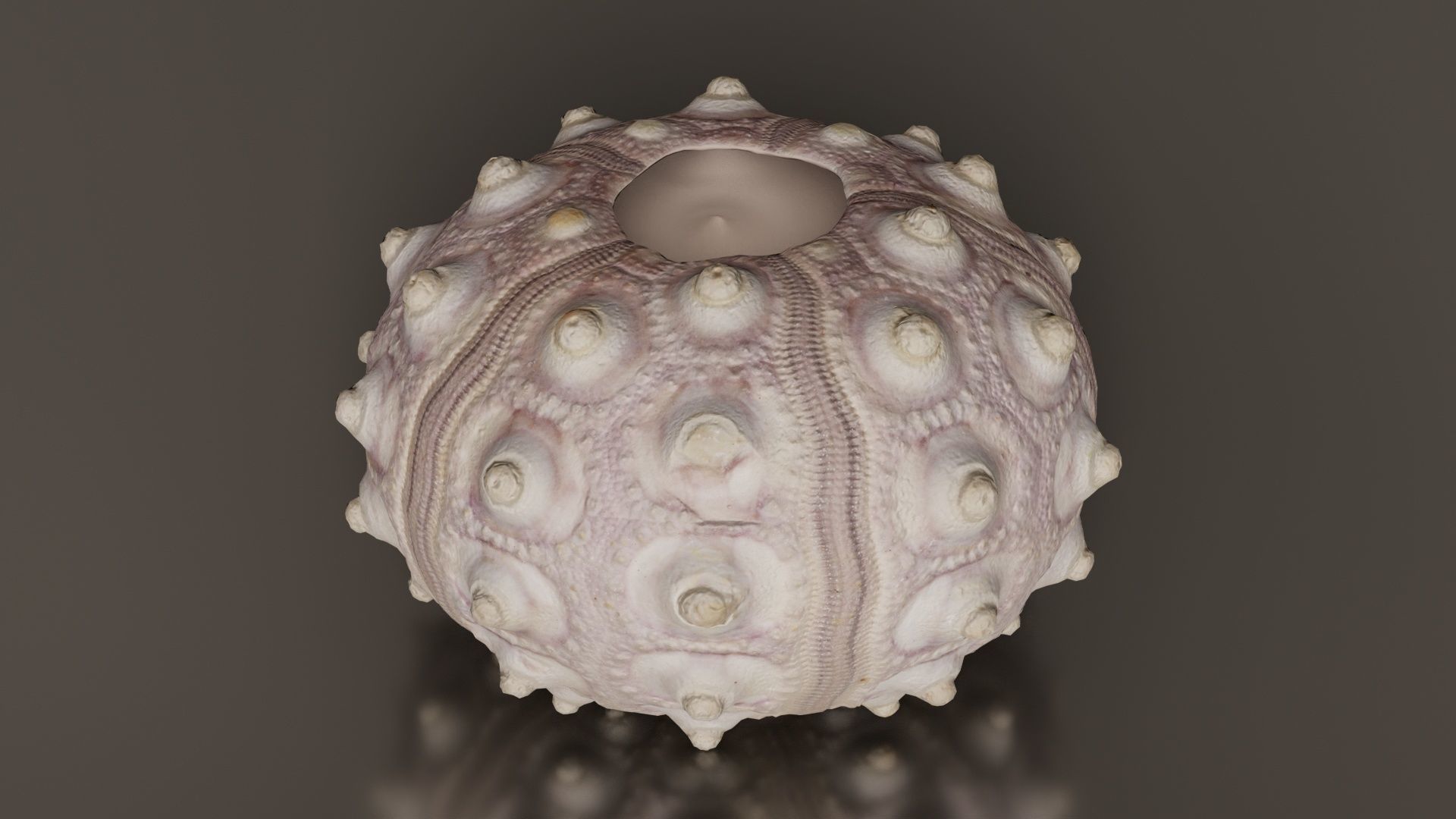 Sputnik Sea Urchin Low-poly 3D model_2
