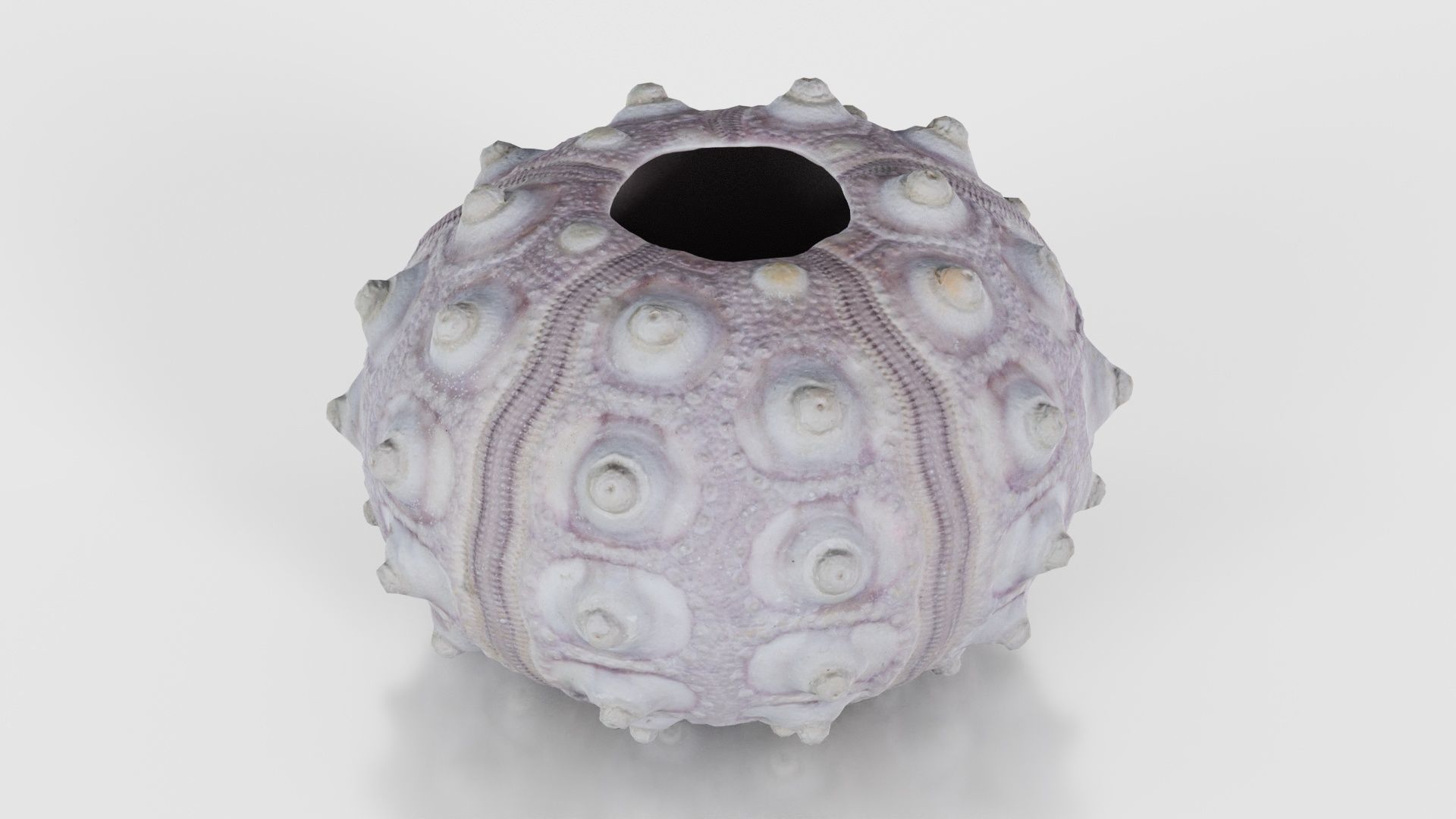 Sputnik Sea Urchin Low-poly 3D model_24