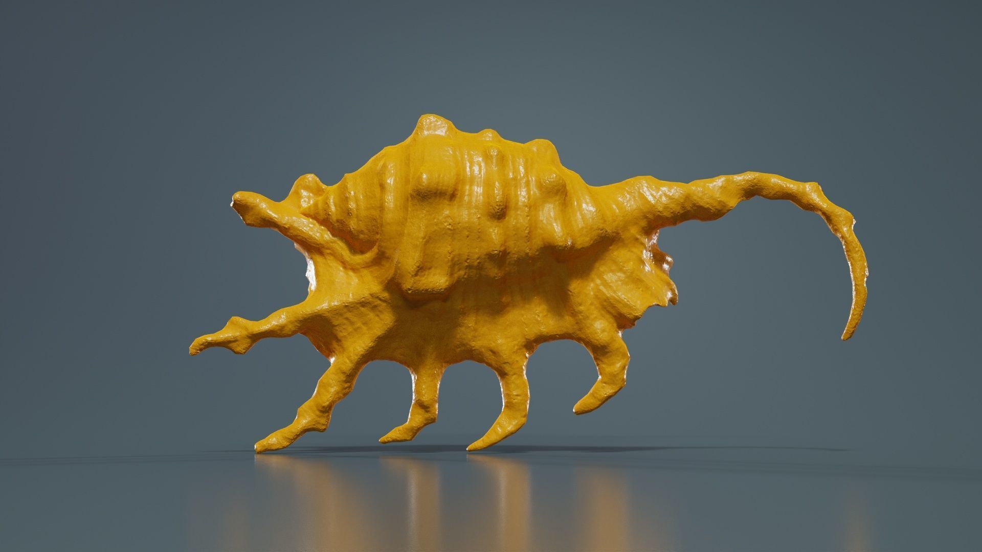 Strombidae Lambis Scorpius Indomaris Seashell Low-poly 3D model_13