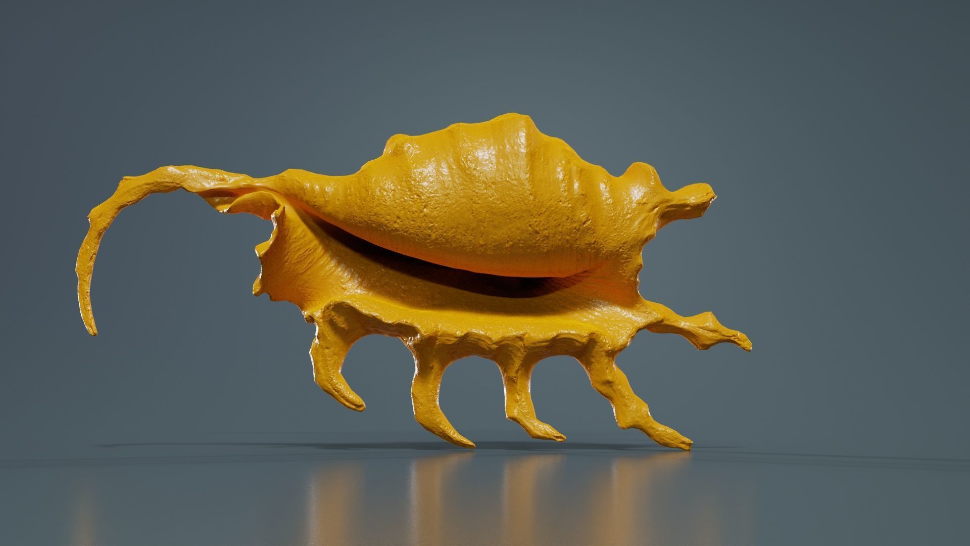 Strombidae Lambis Scorpius Indomaris Seashell Low-poly 3D model_12