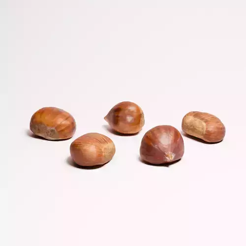Chestnuts Set 01 Low-poly 3D model