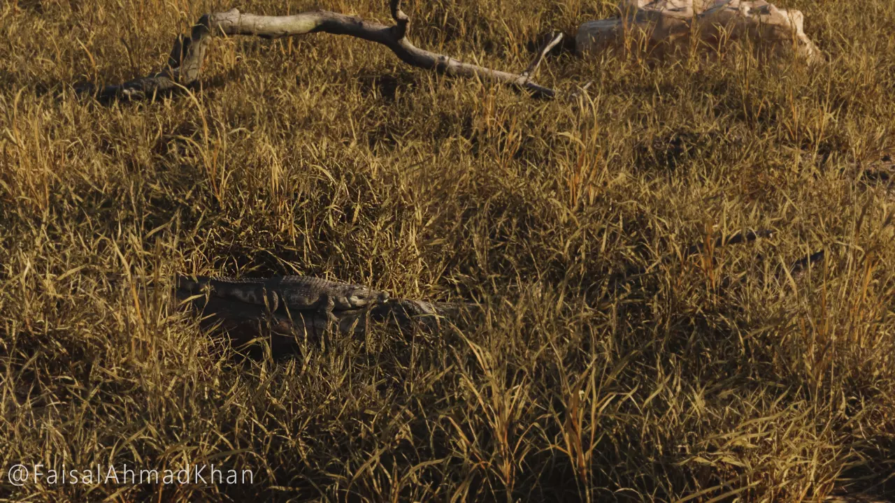 High-Quality Procedural Grass with Realistic Textures 3D model_0