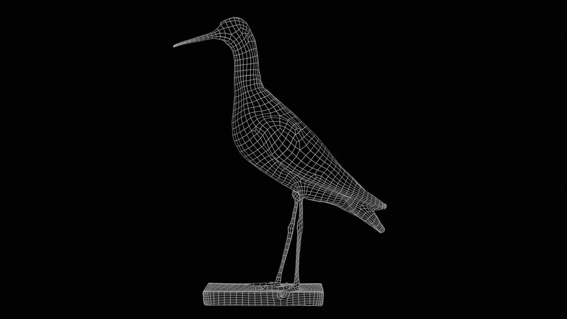 Eskimo Curlew Numenius Borealis Low-poly 3D model_11