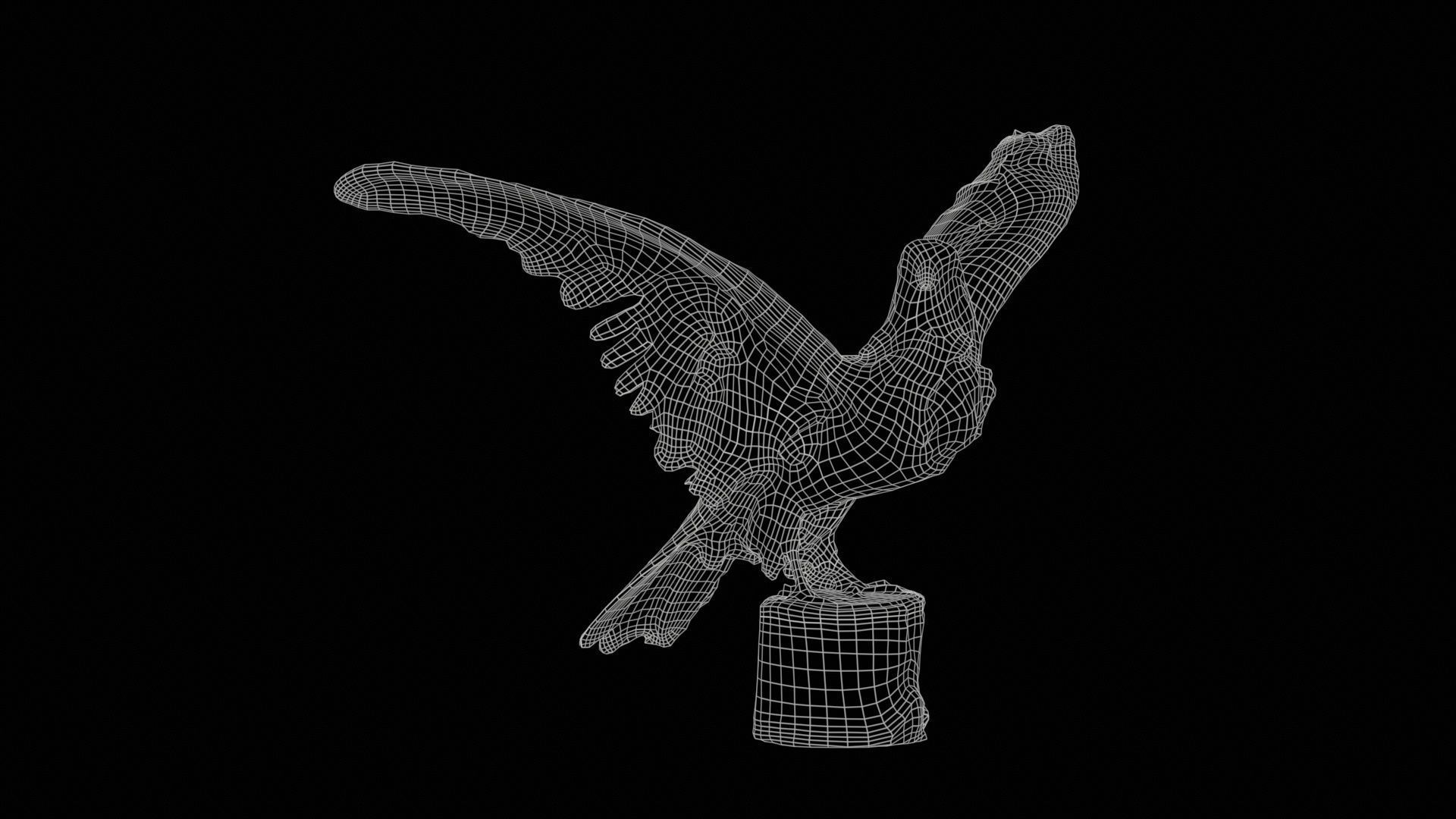 Falcon Falconinae Low-poly 3D model_11