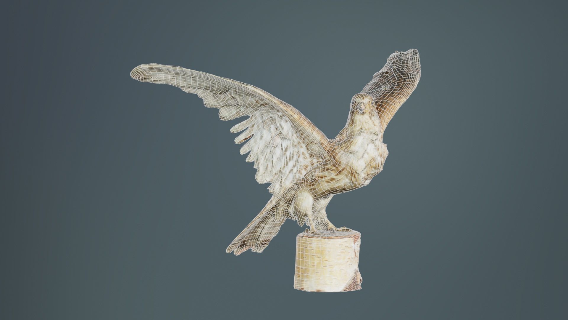 Falcon Falconinae Low-poly 3D model_9