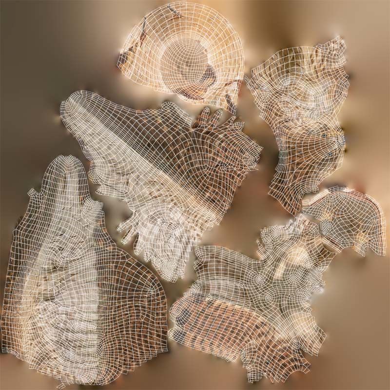 Falcon Falconinae Low-poly 3D model_14