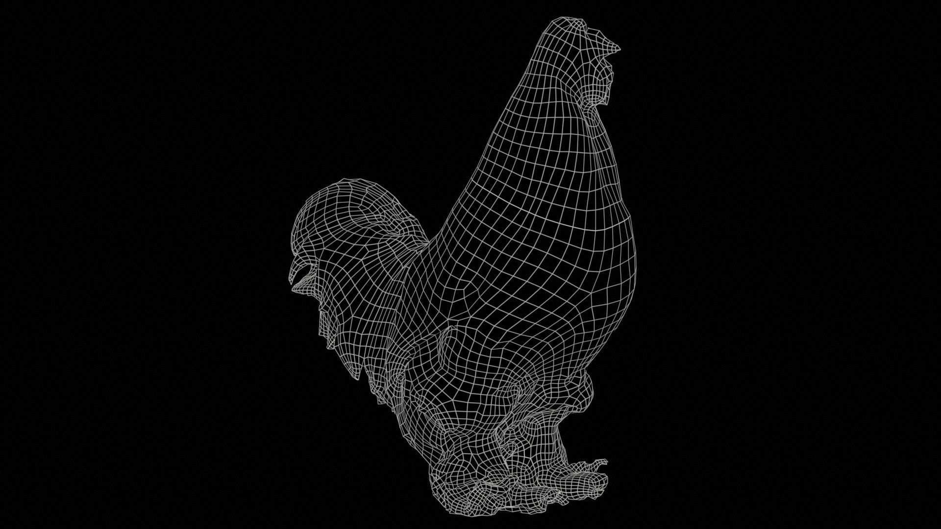Gallus Domesticus Rooster Low-poly 3D model_11