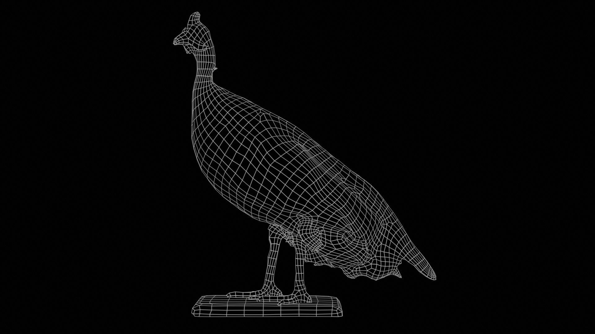 Guineafowl Guineahen Low-poly 3D model_11