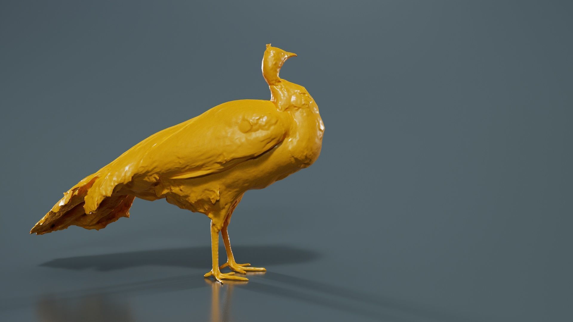 Peacock Peafowl Low-poly 3D model_13