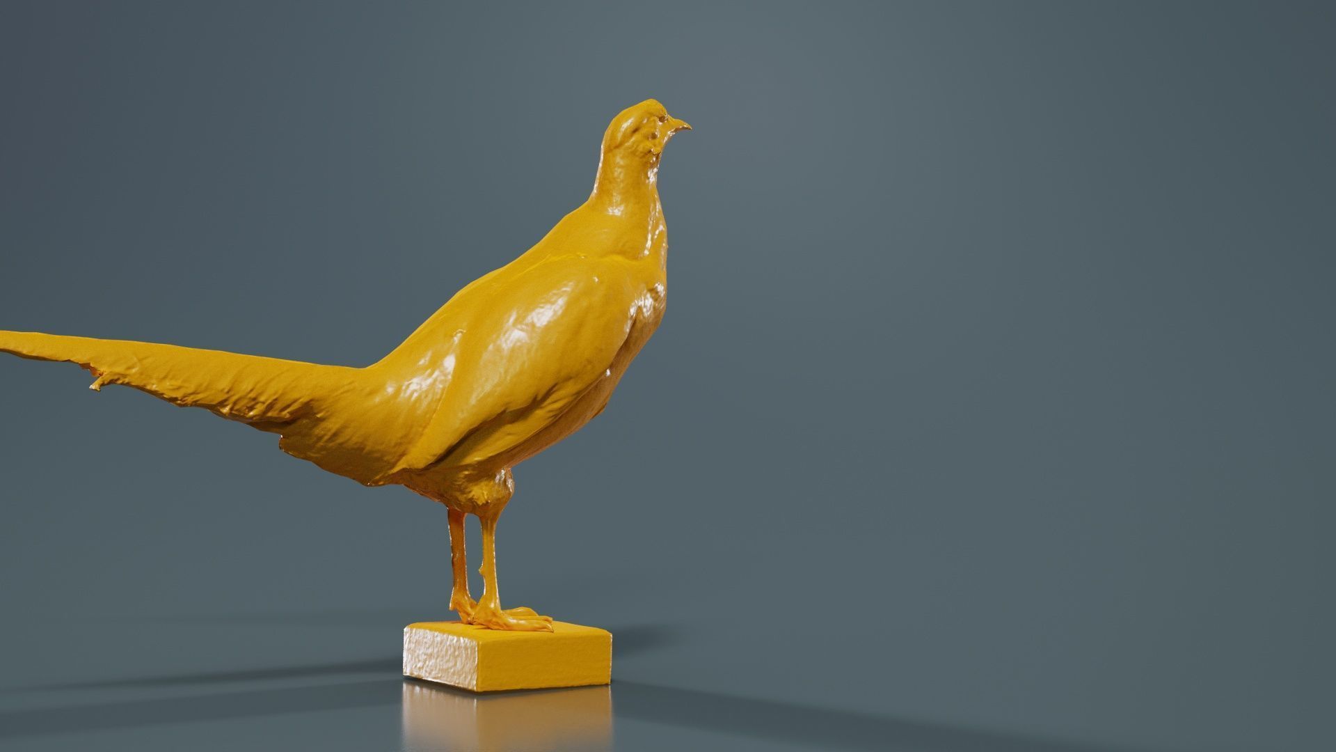 Pheasant Phasianidae Galliformes Low-poly 3D model_13