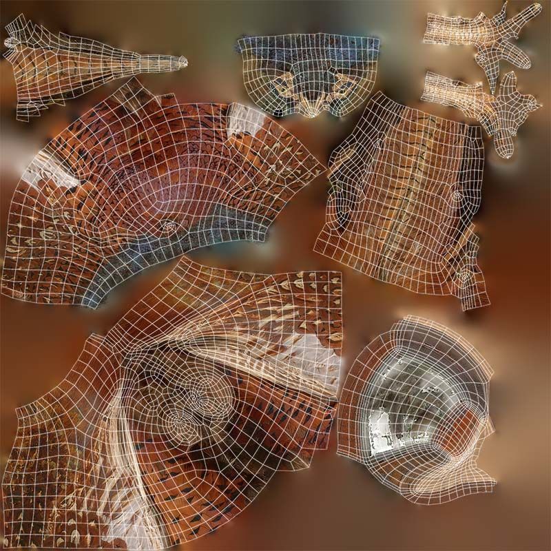 Pheasant Phasianidae Galliformes Low-poly 3D model_14