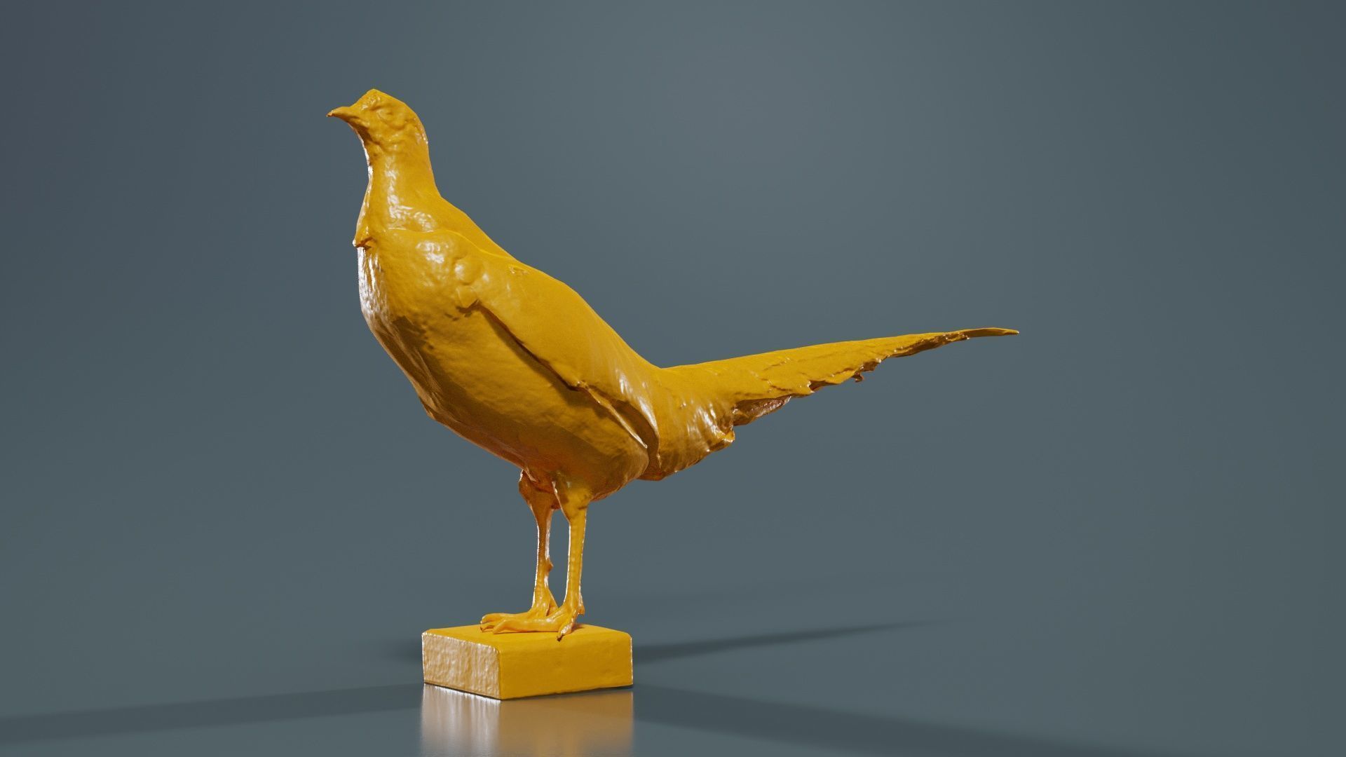 Pheasant Phasianidae Galliformes Low-poly 3D model_12