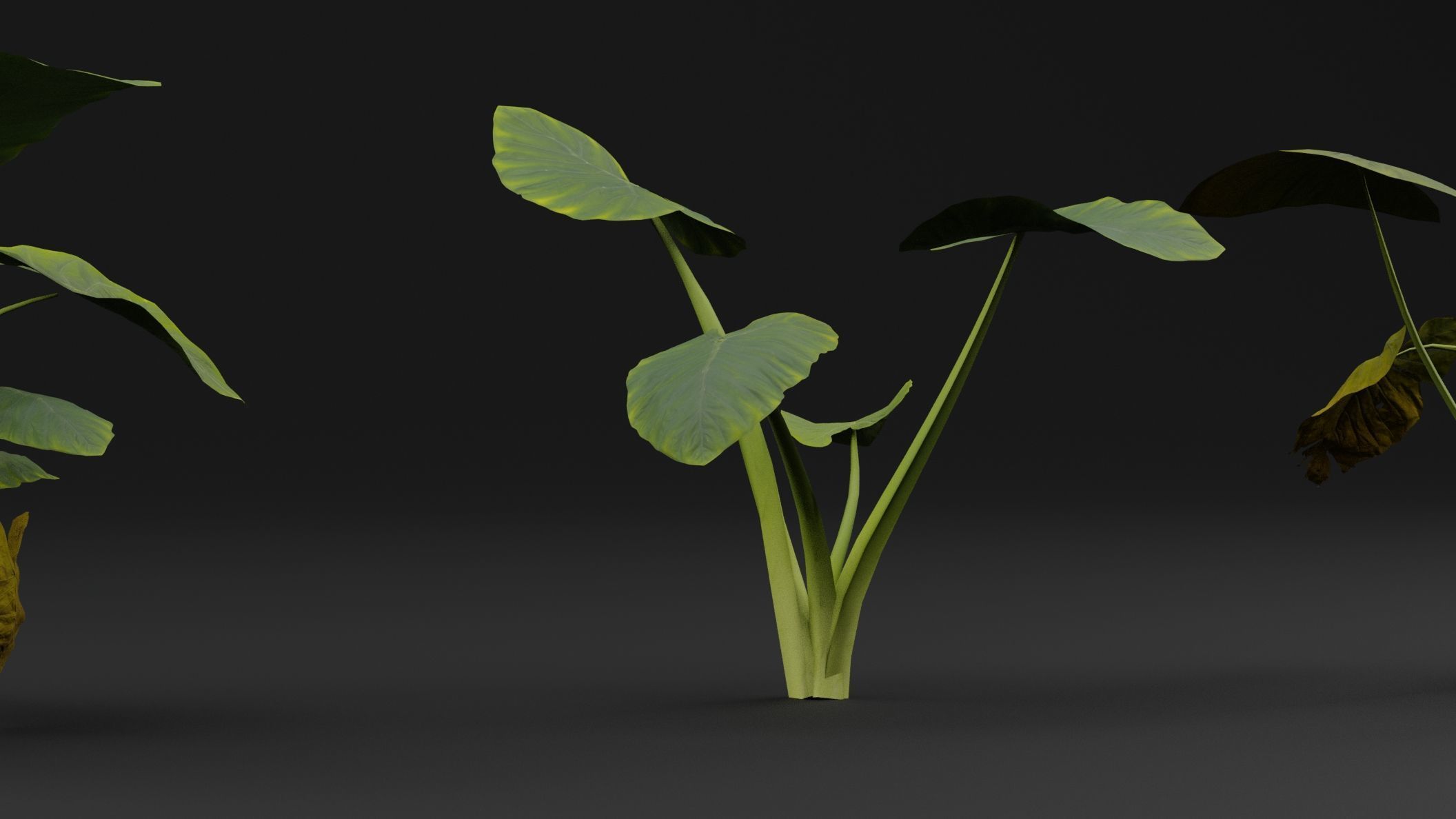 Golevez Plant 3D model_3
