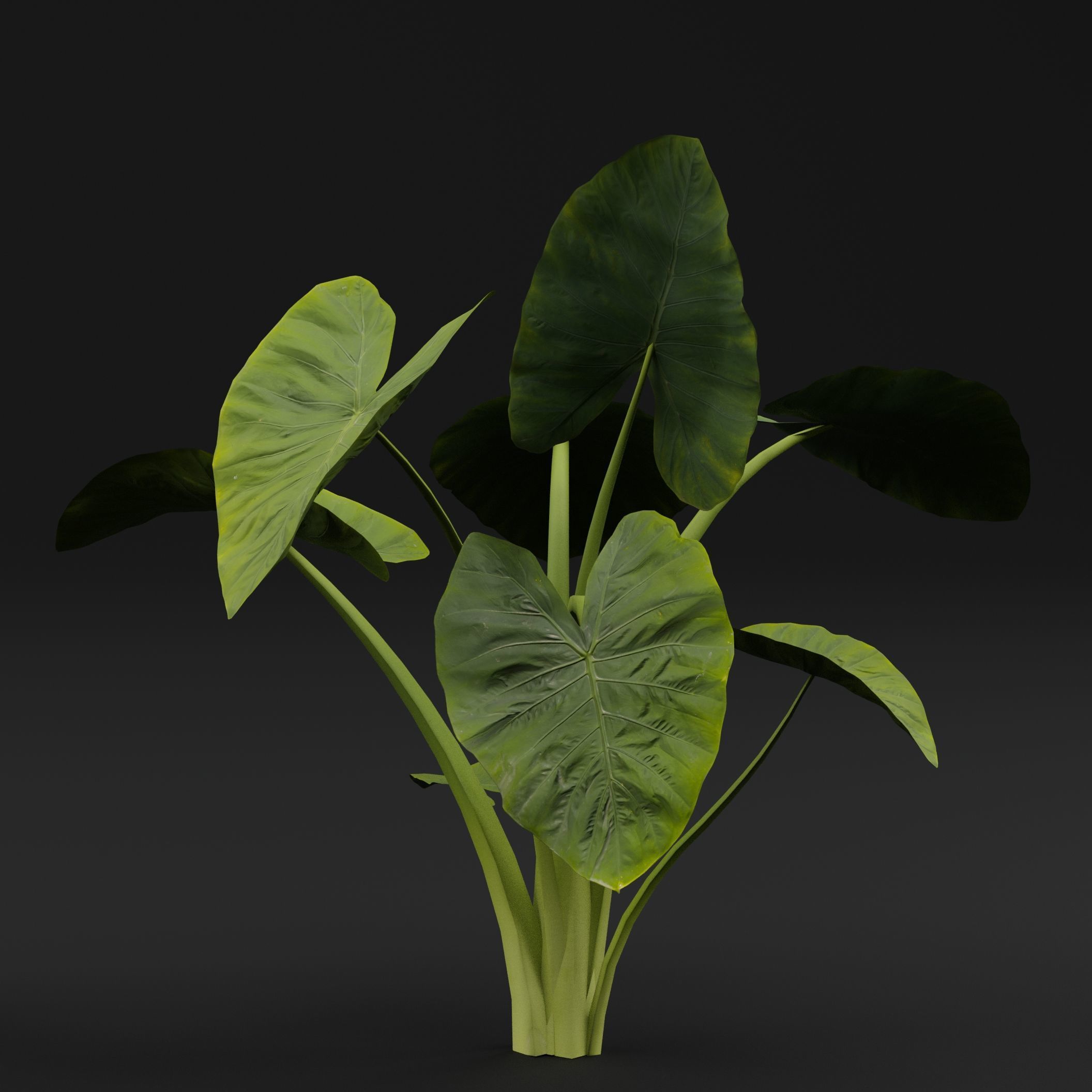 Golevez Plant 3D model_5