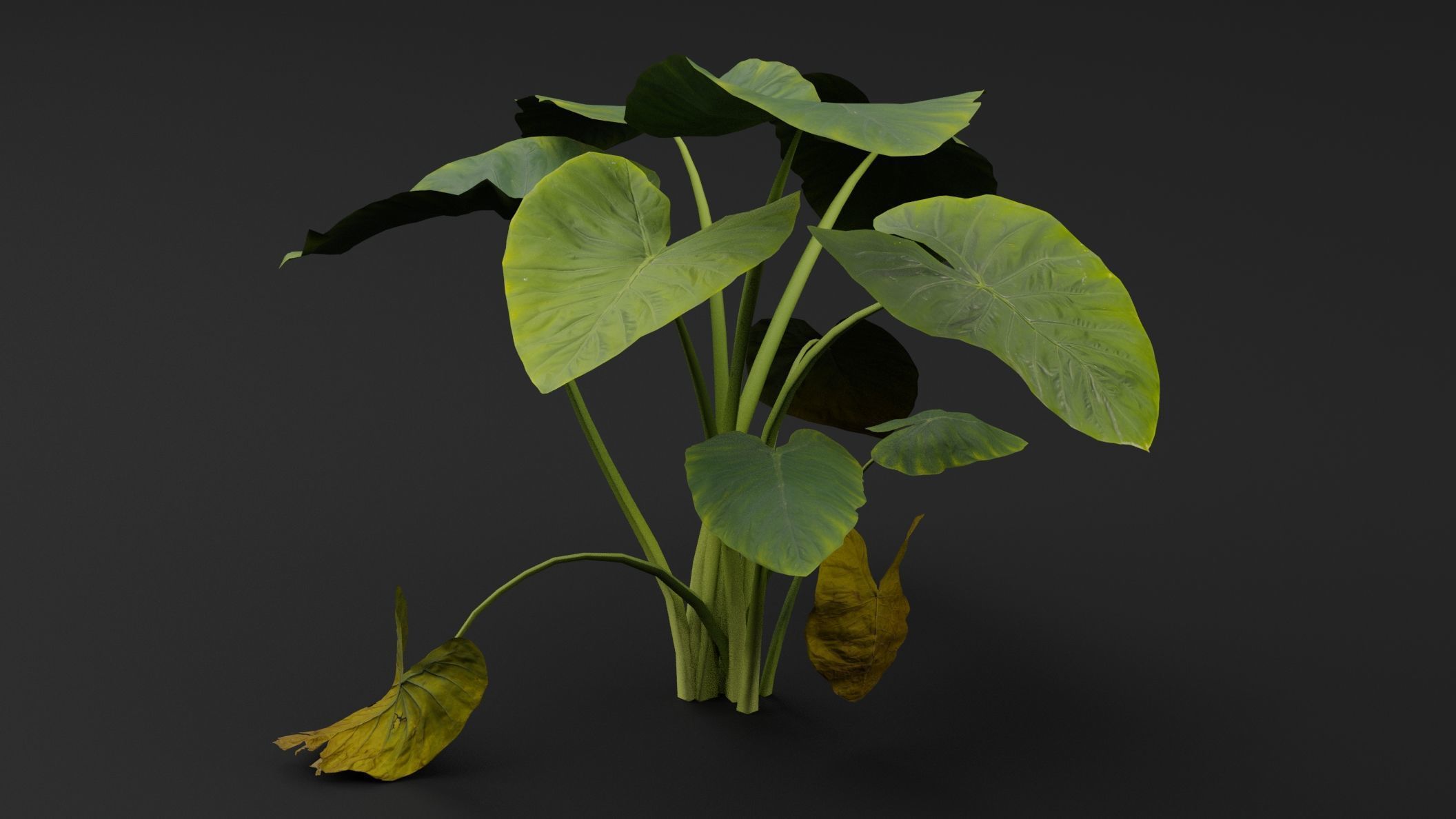 Golevez Plant 3D model_4
