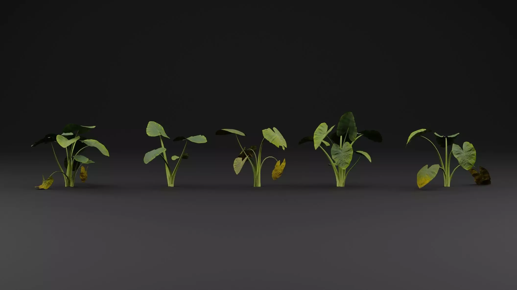 Golevez Plant 3D model_1
